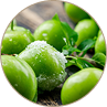 Japanese Apricot 2.00%